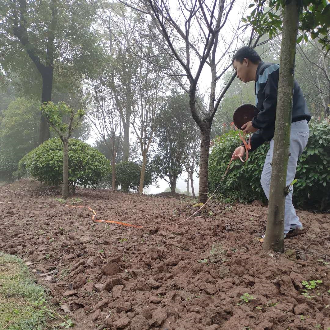 圖片關鍵詞