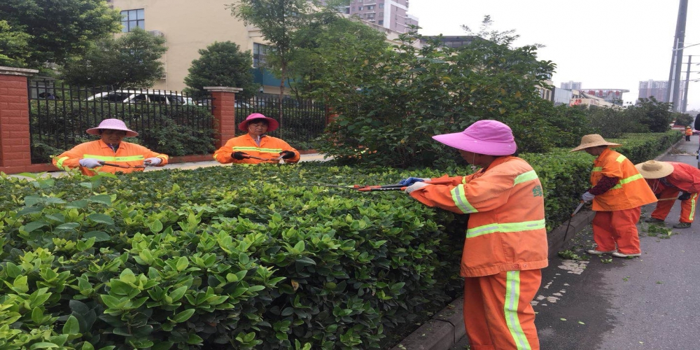 新站區(qū)道路清掃保潔、綠化管養(yǎng)項目