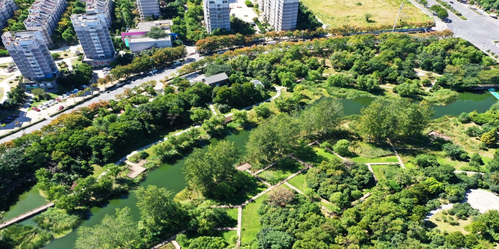 合肥市廬陽區中鐵濕地公園綠化養護