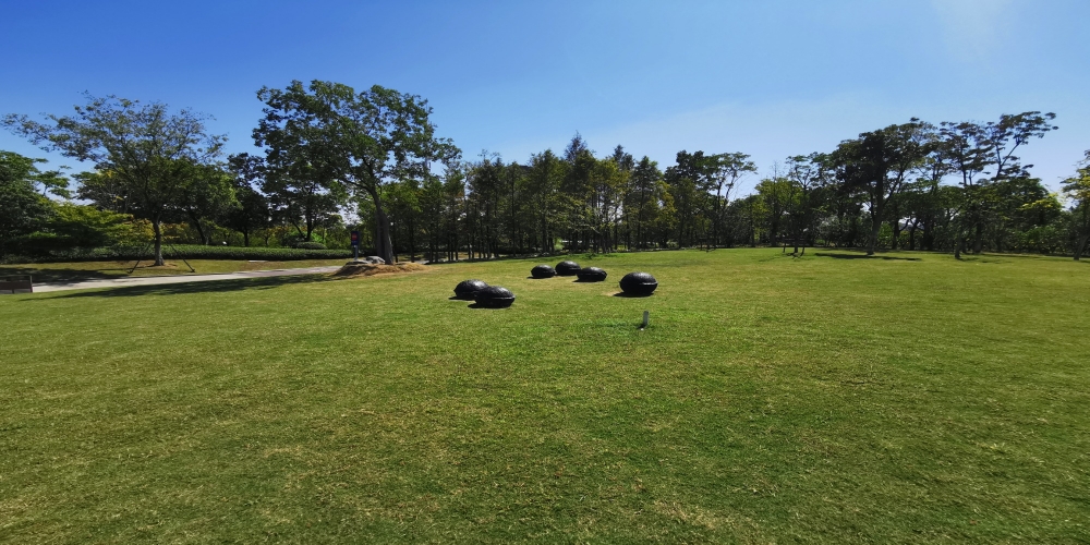 合肥廬陽區廬州公園一期綠化景觀養護